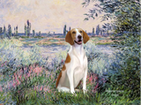 Discover By the Seine - American Fox Hound