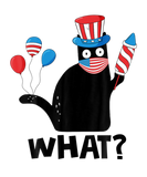 Discover What? Funny Black Cat 4Th Of July American Flag Pa