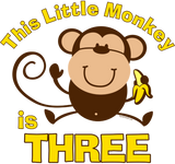 Discover Little Monkey 3rd Birthday Boy