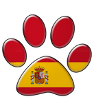 Discover Spanish patriotic cat