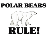 Discover POLAR BEARS Rule!