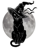 Discover Haloween Black cat witch and moon