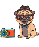 Discover Funny Pug Hipster Cameraman Photographer Gift