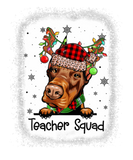 Discover Bleached Teacher Squad Reindeer Doberman Teacher C