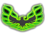 Discover Green Bird Wings