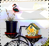 Discover Cool bird house design