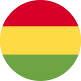 Discover Bolivia Flag Polo