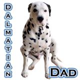 Discover Dalmatian Dad 4