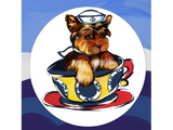 Discover Navy Yorkie Poo