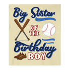 Discover Big Sister Of Birthday Boy Baseball Theme Matching