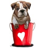 Discover Bulldog Bucket Of Love Red