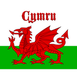 Discover Welsh Flag Cymru