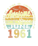 Discover Awesome Since June 1961 60Th Birthday 60 Years Old