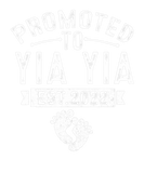 Discover Family 365 Promoted To Yia Yia Est 2022 Grandma Mo