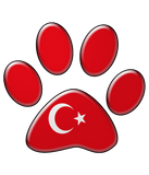 Discover Turkish patriotic cat
