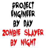 Discover Zombie Slayer Project Engineer