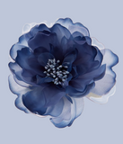 Discover BLUE PEONY FLOWER