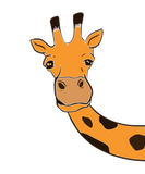Discover Giraffe Africa Zoo Gift Idea