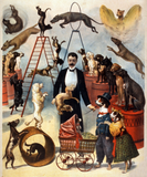 Discover Vintage Trained Circus Dog Act Trick Dogs 1899