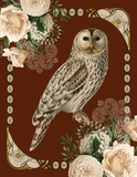 Discover Barn Owl Ivory Roses Art Nouveau Influence  Plus Size