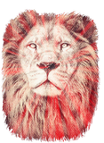 Discover Rustic Bold Red Radial Bearded Lion Face