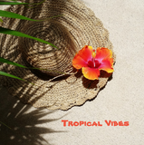 Discover Tropical Vibes