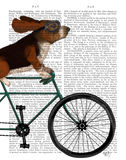 Discover Basset Hound on Bicycle