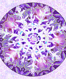 Discover Purple snowflake & W1