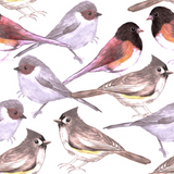 Discover Wild titmouses bushtits and juncos watercolor