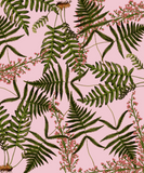 Discover fern pink