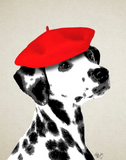 Discover Dalmatian With Red Beret
