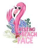 Discover Flamingo Bird Tropical Design Resting Beach Face