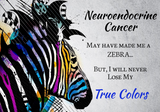 Discover Neuroendocrine Cancer Support Awareness