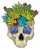 Discover Skull with Crystals and Succulents