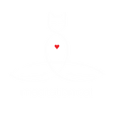 Discover Meditation Cat - Regular style text.