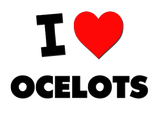 Discover I Love Ocelots