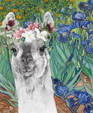 Discover Van Gogh's Irises and Fancy Llama