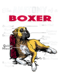 Discover Anatomy of a Boxer Dog