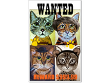 Discover Wanted cat poster art