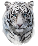 Discover White Tiger 2