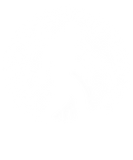 Discover Bigfoot Night Stroll! Cool Full Moon And Trees Sas