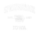 Discover Springbrook Iowa IA Vintage State Athletic Style