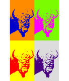 Discover 4 Color Pop Art Buffalo Bison