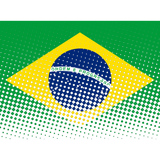 Discover Flag Of Brazil With Halftone Effect