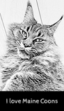 Discover I love Maine Coons black and white graphic