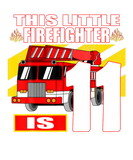 Discover Fire Truck Birthday - 11 Year Old