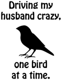 Discover Driving my husband crazy, one bird at a time