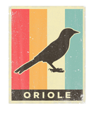 Discover Oriole Bird Lover Vintage Retro Poster Animal