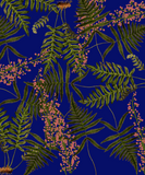 Discover fern blue