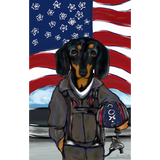 Discover DOXIE PILOT